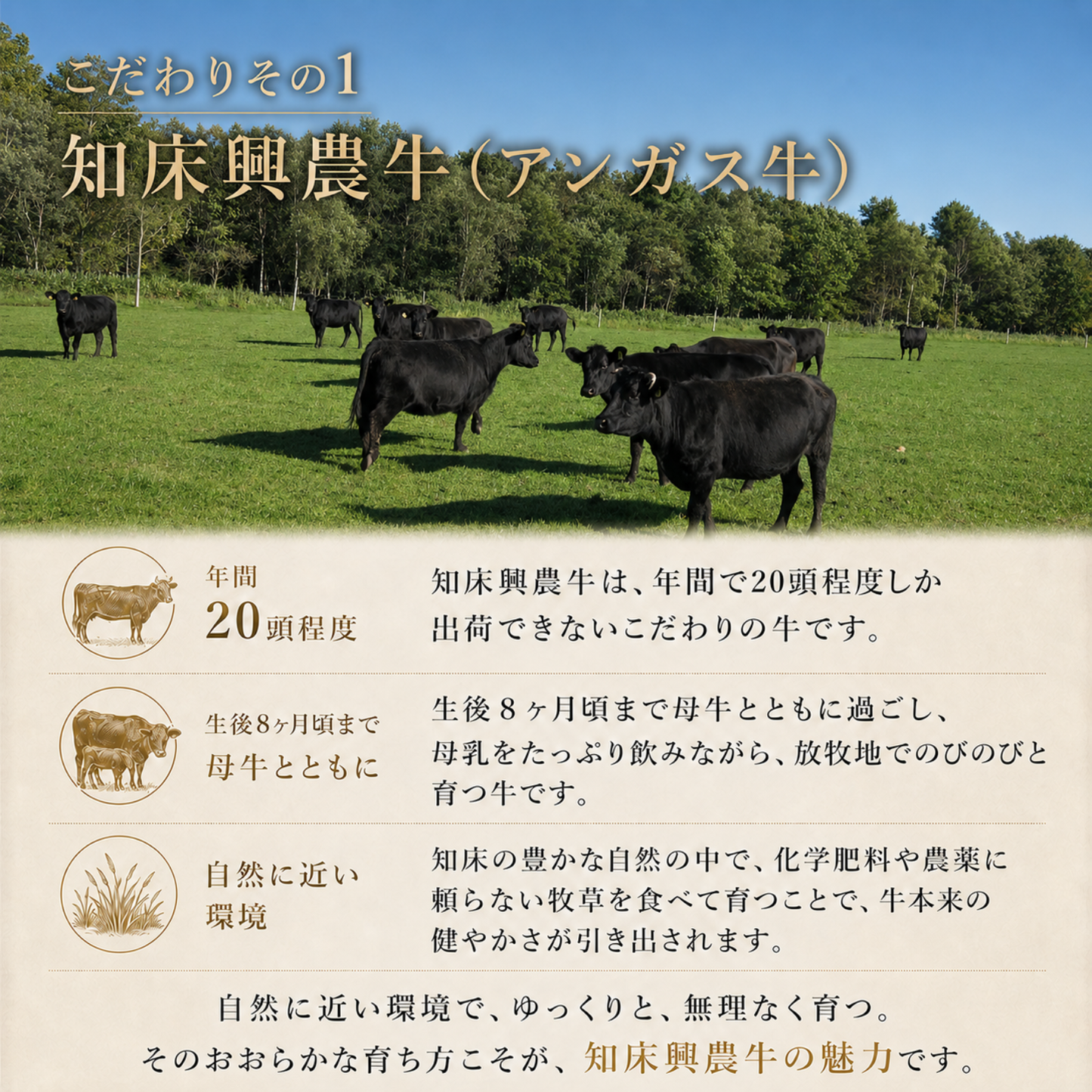 知床興農ファーム　手作りハンバーグ