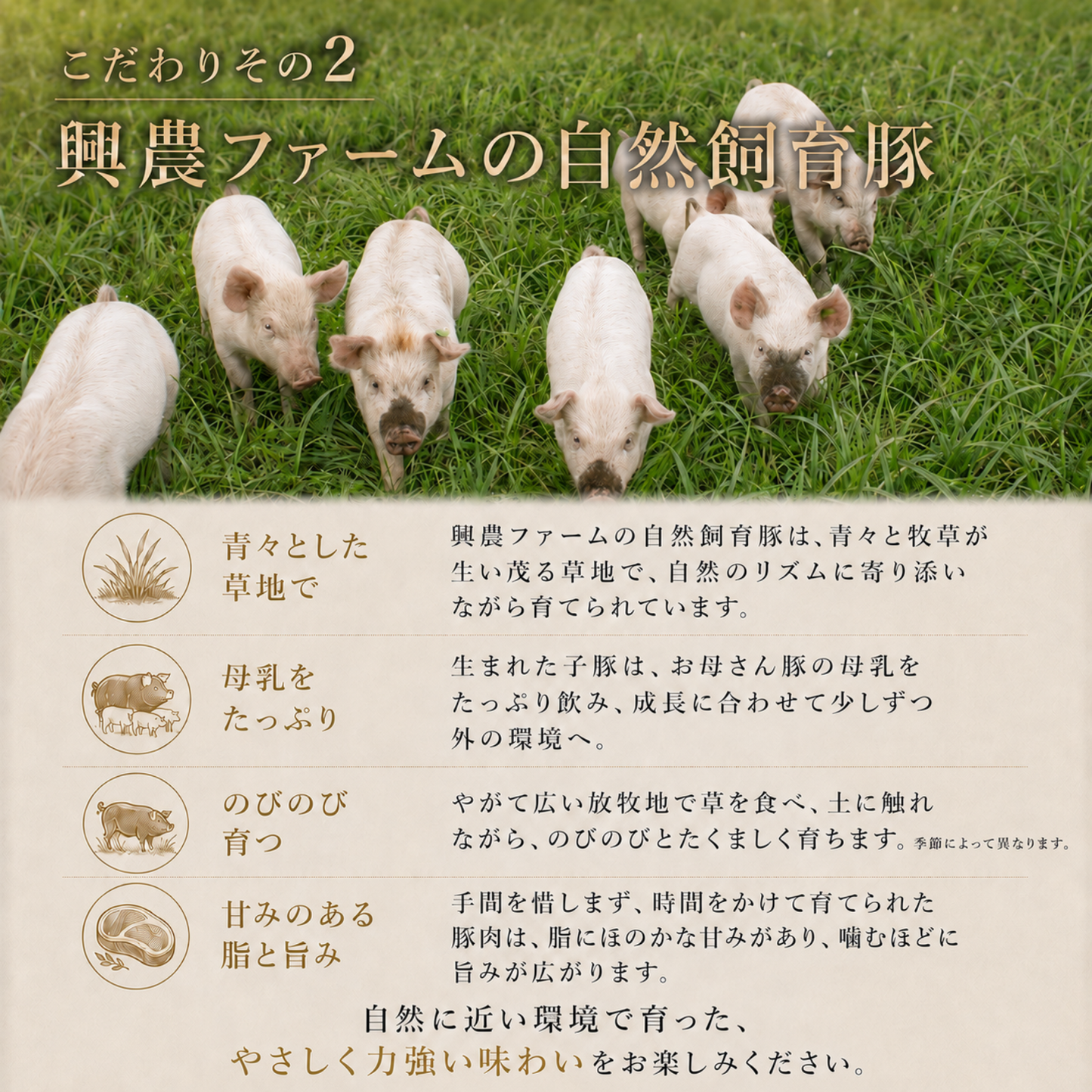 知床興農ファーム　手作りハンバーグ