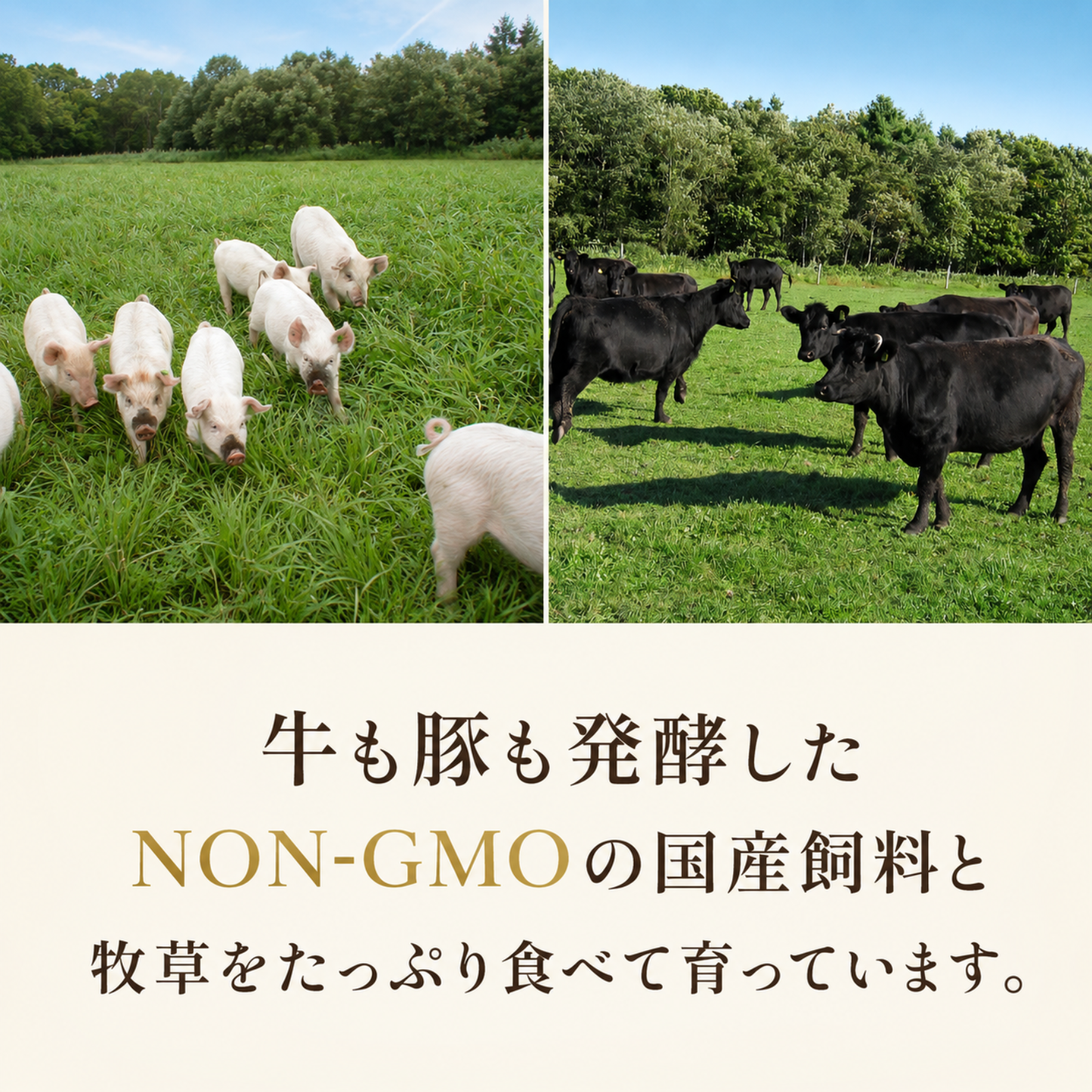 知床興農ファーム　手作りハンバーグ