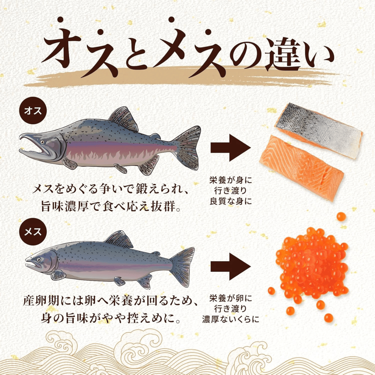 北海道 標津産 無添加 鮭とば 天然の秋オス鮭